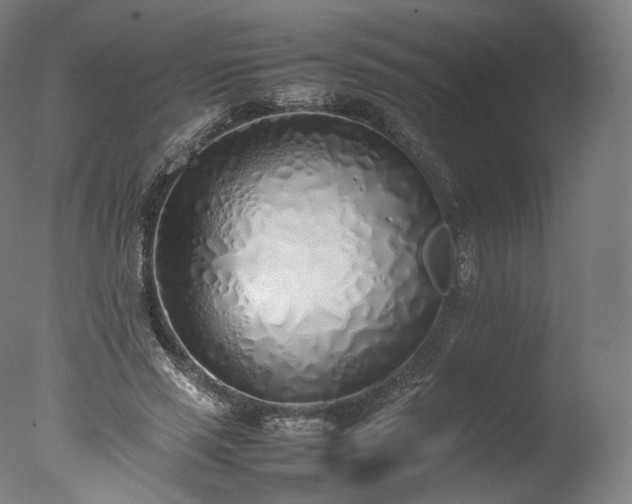 X0000077280637200610271459