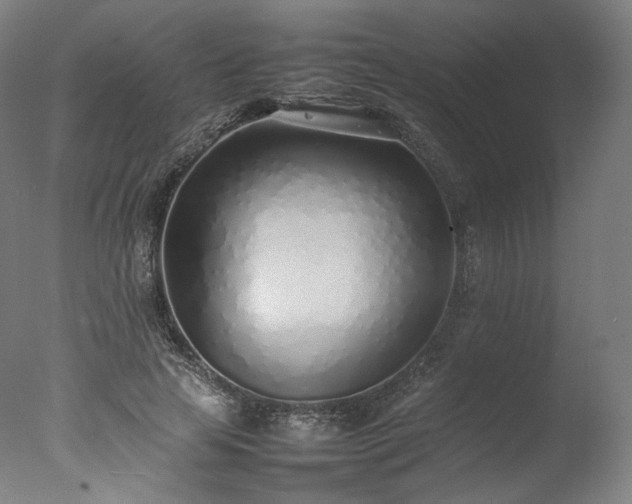 X0000077280641200610271459