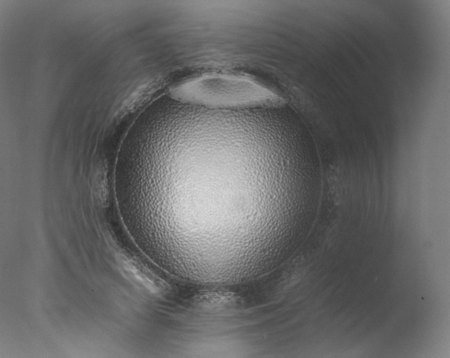 X0000077280642200610271459