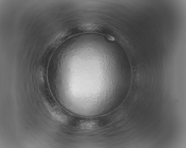 X0000077280643200610271459