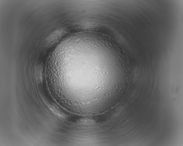 X0000077280644200610271459