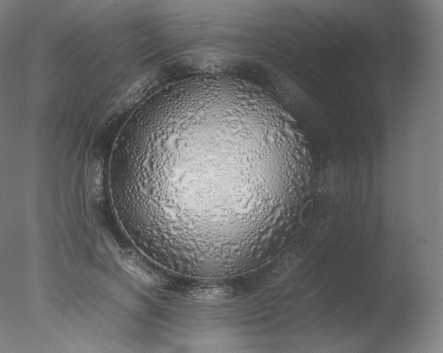 X0000077280646200610271459