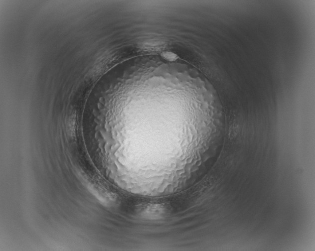 X0000077280647200610271500