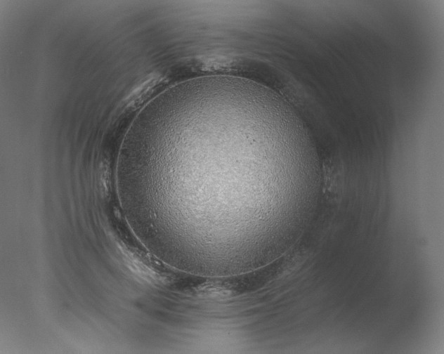 X0000077280648200610271500