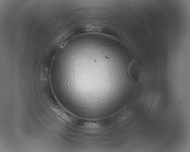 X0000077280649200610271500