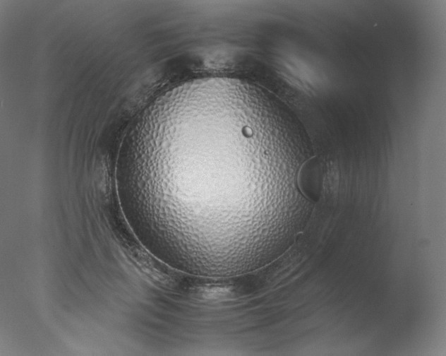 X0000077280651200610271500