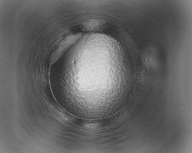 X0000077280653200610271500