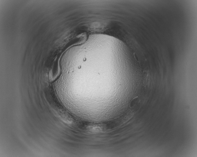 X0000077280655200610271500