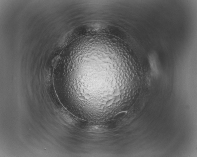 X0000077280657200610271500