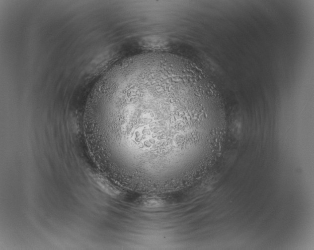 X0000077280658200610271500
