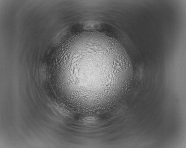 X0000077280659200610271500