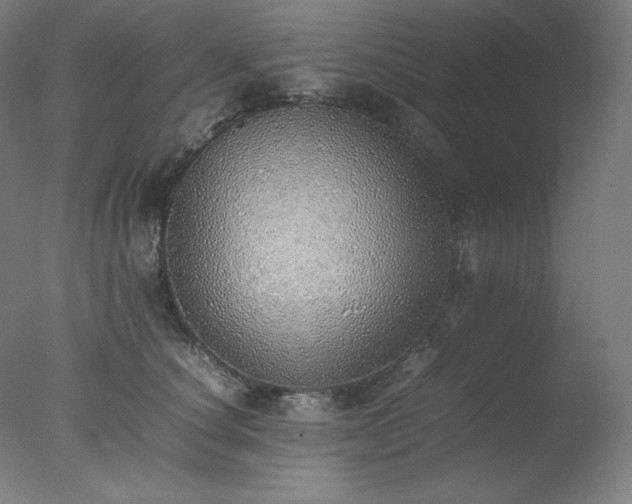 X0000077280660200610271500