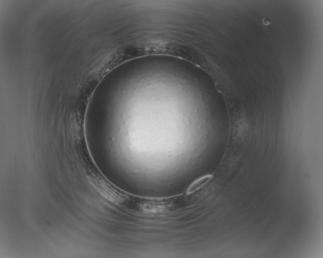 X0000077280661200610271500