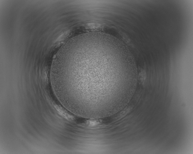 X0000077280662200610271500