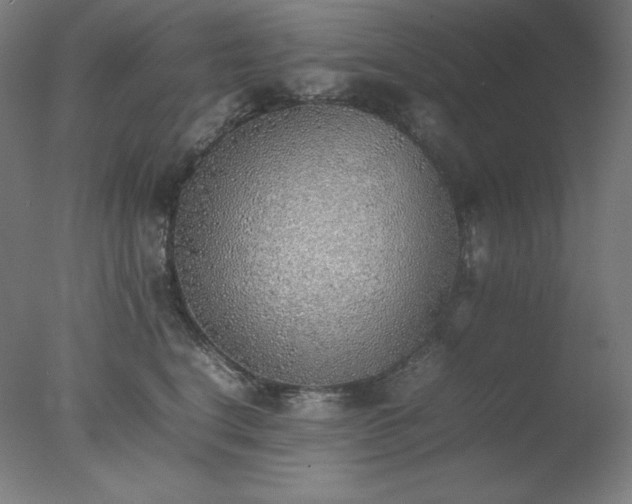 X0000077280664200610271500