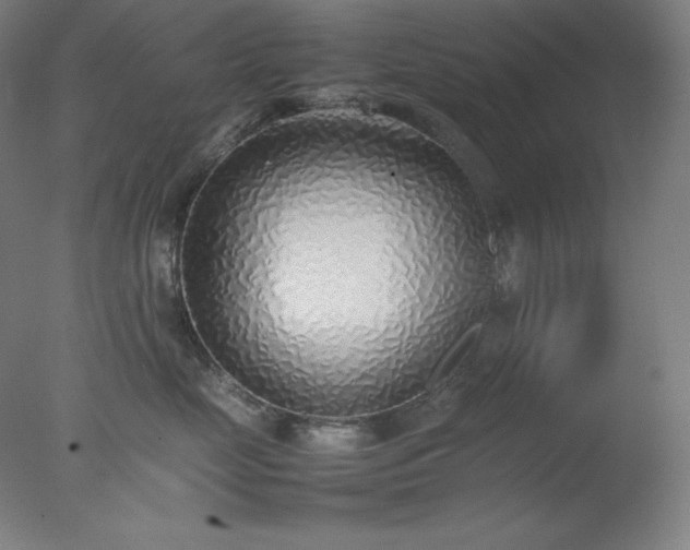 X0000077280669200610271500