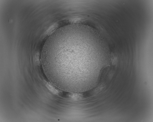 X0000077280670200610271500