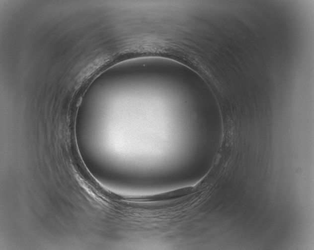 X0000077280677200610271459