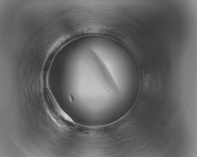 X0000077280678200610271459
