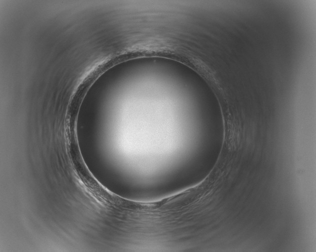 X0000077280680200610271459