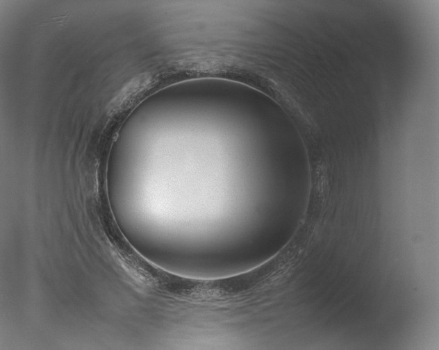 X0000077280685200610271459