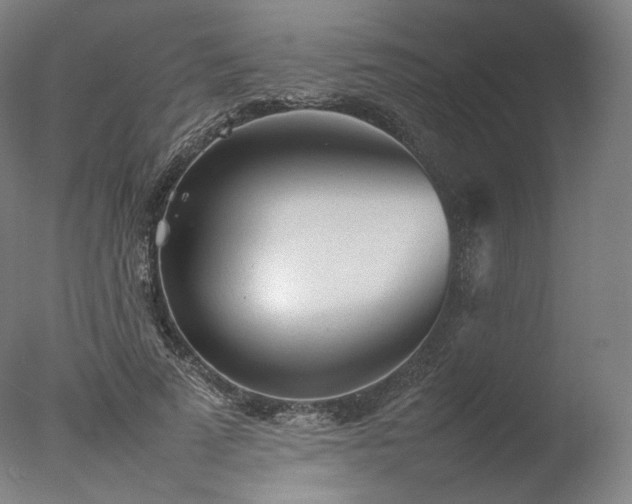 X0000077280689200610271459