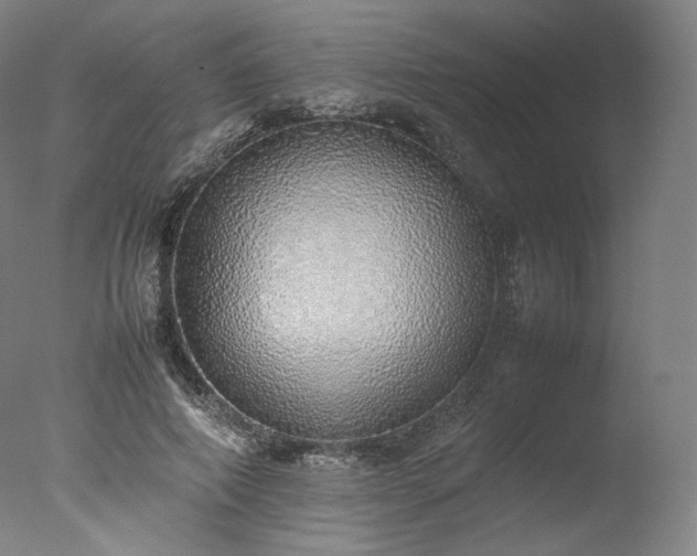 X0000077280690200610271459
