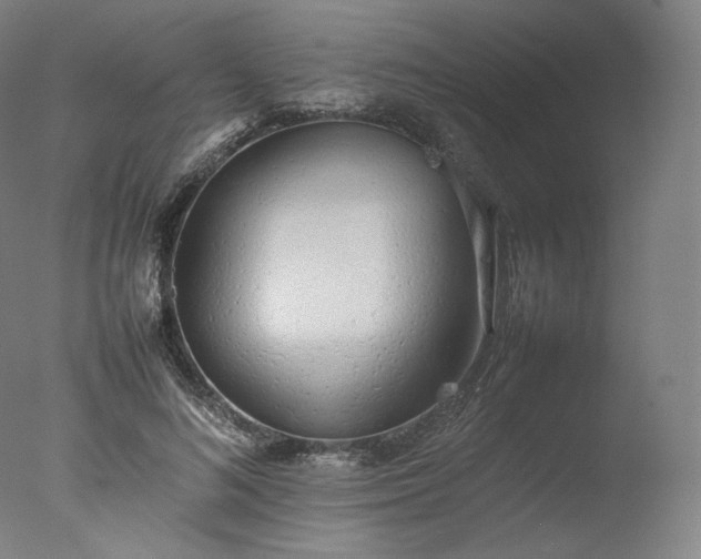 X0000077280692200610271459