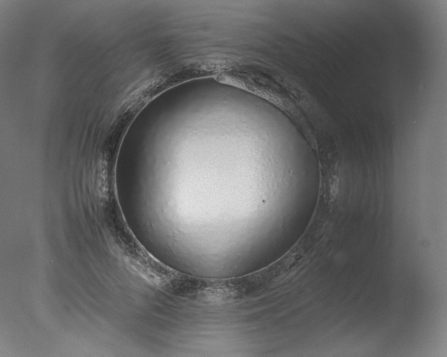 X0000077280696200610271459