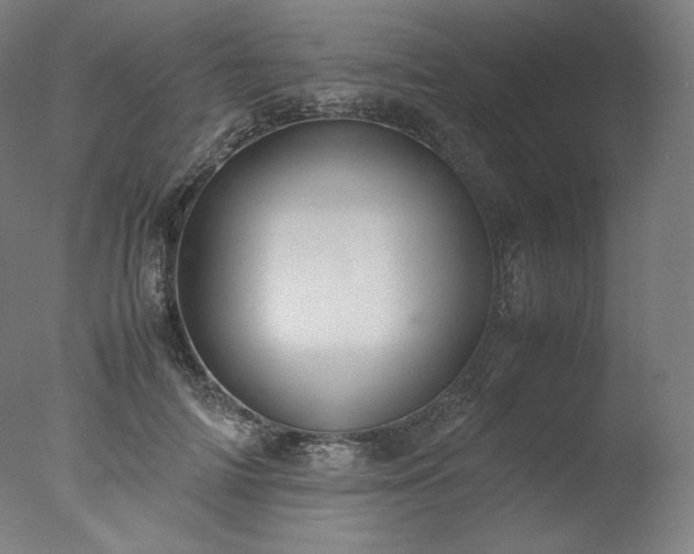X0000077280698200610271459