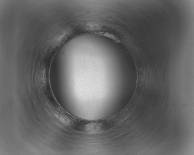 X0000077280700200610271459