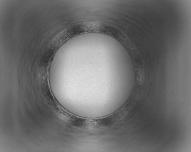 X0000077280701200610271459