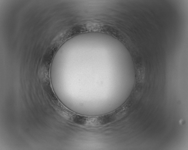 X0000077280705200610271459