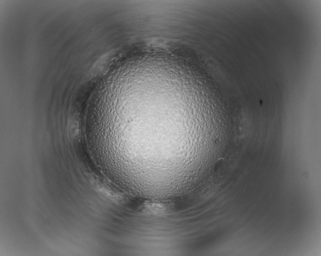 X0000077280706200610271459