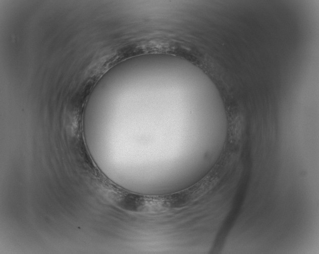 X0000077280709200610271459