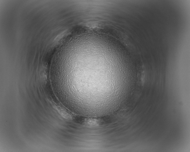 X0000077280710200610271459