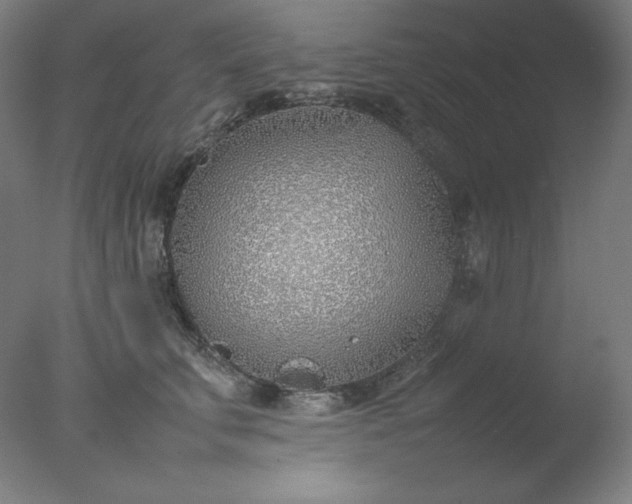 X0000077280711200610271458