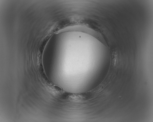 X0000077280712200610271458