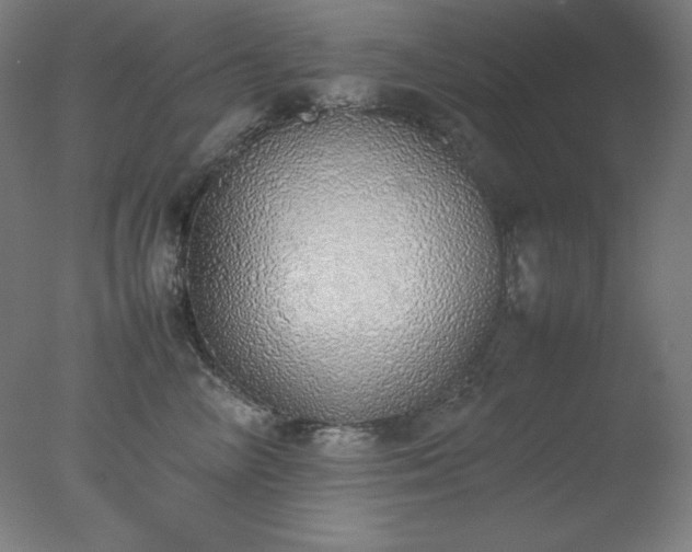 X0000077280714200610271458