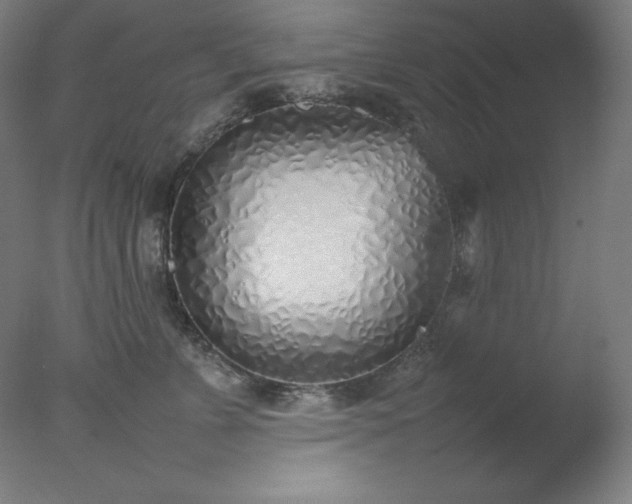X0000077280715200610271458
