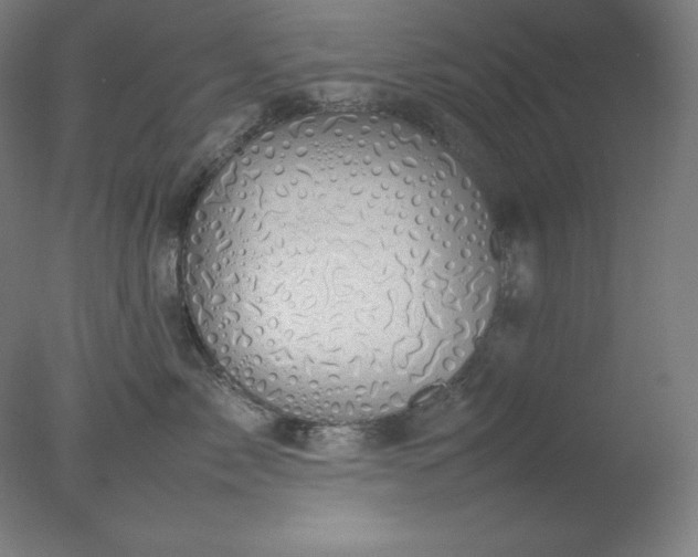 X0000077280717200610271458