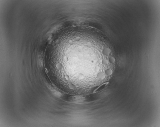 X0000077280719200610271458