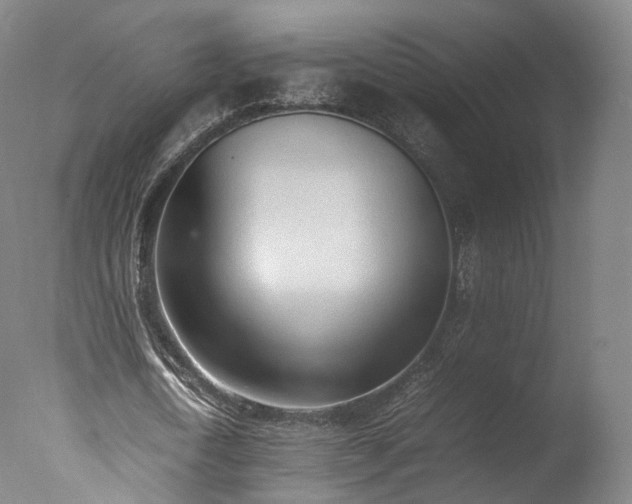 X0000077280722200610271458