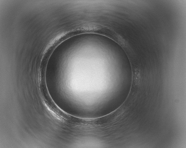 X0000077280726200610271458