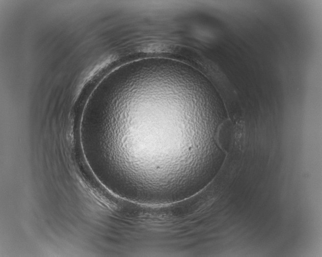 X0000077280727200610271458