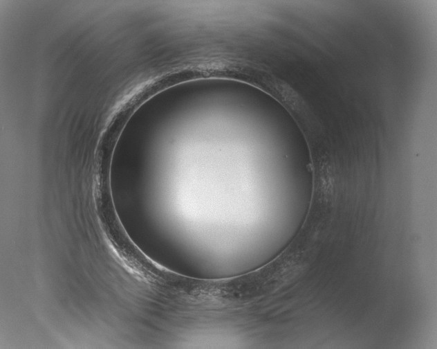 X0000077280728200610271458