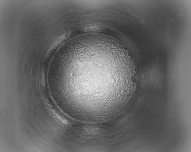 X0000077280729200610271458