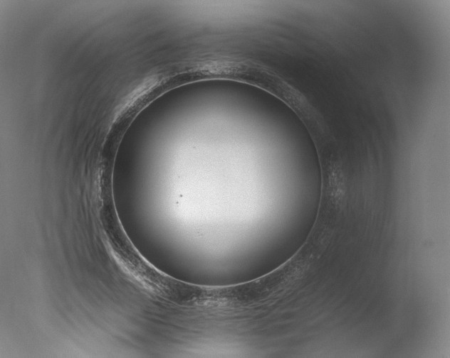X0000077280730200610271458
