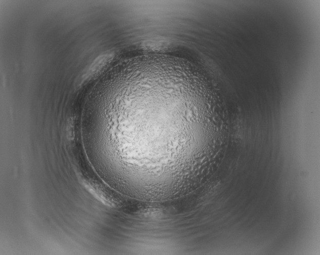 X0000077280738200610271458