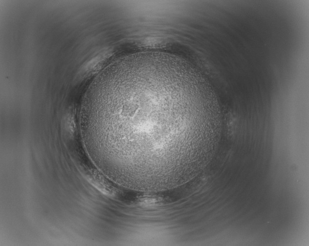 X0000077280746200610271458